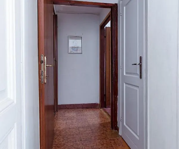 - Volosko 7912a אופטיה